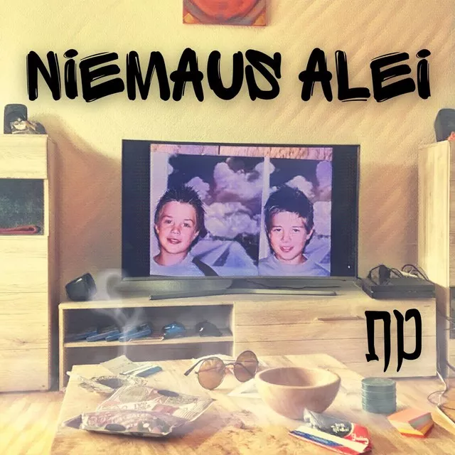 Cover niemaus alei